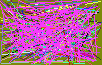 locating people by dob