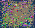 search for people